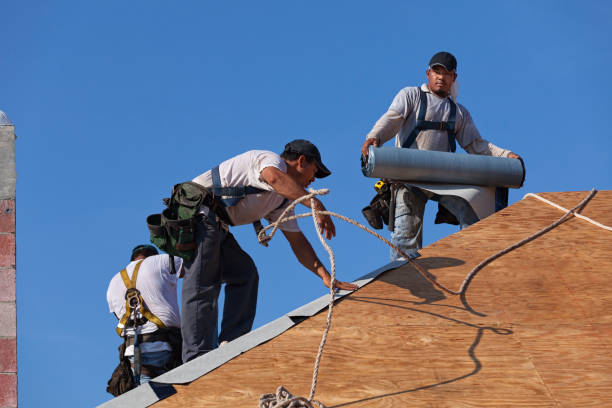 Quick and Trustworthy Emergency Roof Repair Services in Cynthiana, KY